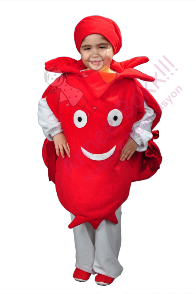 Nar Kostümü, Çocuk Nar Kostümü, Etkinlik ve Gıda Kostümleri