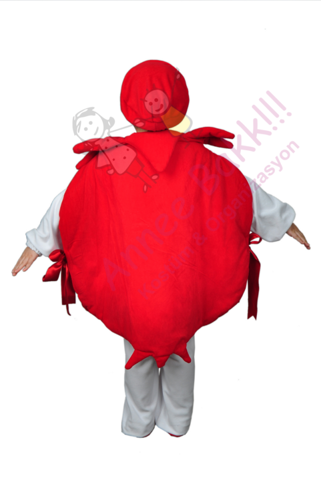 Nar Kostümü, Çocuk Nar Kostümü, Etkinlik ve Gıda Kostümleri