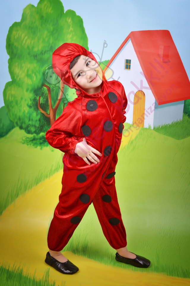 Uğur Böceği Kostümü, Erkek Çocuk Uğur Böceği Kostümü