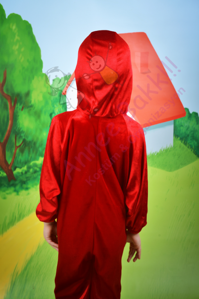 Uğur Böceği Kostümü, Erkek Çocuk Uğur Böceği Kostümü